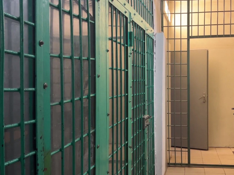 Подростка приговорили к 6 годам колонии за жестокое убийство 12-летней подруги в Иркутской области