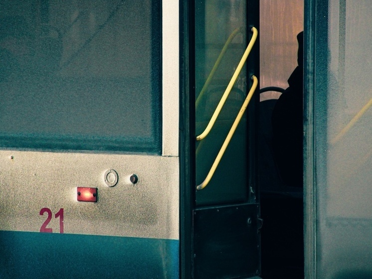 В Госдуме объяснили, почему турфирмы не покупают российские автобусы