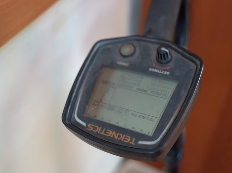 В Липецкой области задержаны искатели древностей