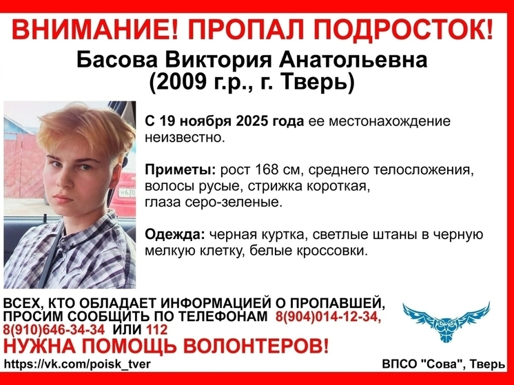 “Совы” объявили поиски пропавшего подростка из Твери