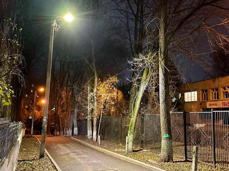 Липчане добились освещения у школы и детского сада