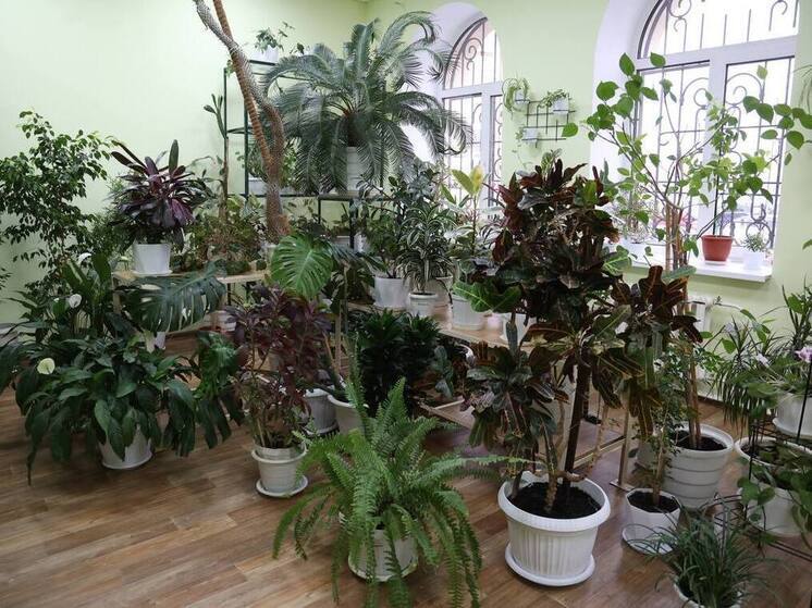 Стартовал всероссийский экологический конкурс «Зеленый зачет»