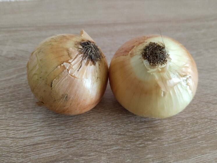 Белгородцев пригласили на сельхозярмарку в Ивне