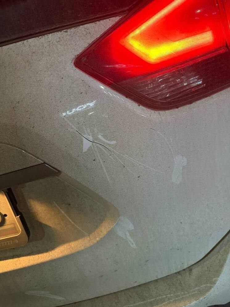 После жалобы в соцсетях СК проверяет порчу авто на парковке в Самаре