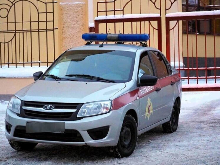 Росгвардейцы Архангельска задержали магазинную воровку