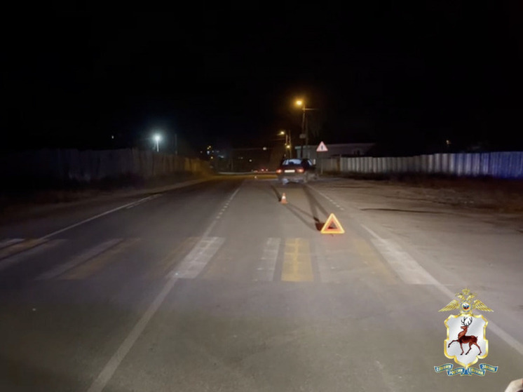 Две нижегородки, сбитые на пешеходном переходе, скончались в больнице