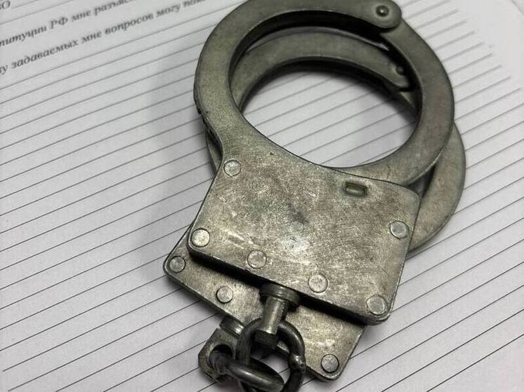 Иностранец ответит в суде Петербурга за покупку и хранение наркотиков