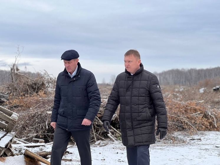 В Чебаркуле разбираются с громадной свалкой веток