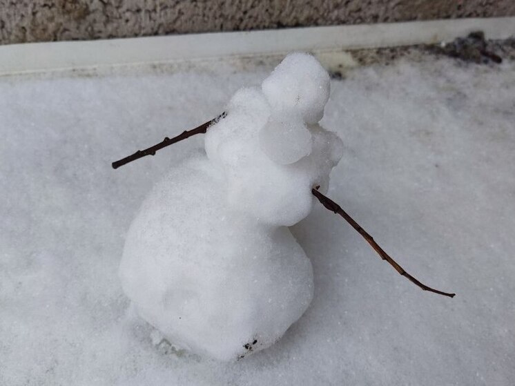 Ленинградцев 21 ноября ожидает снег, гололед и до +3 градусов