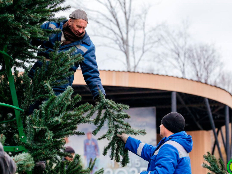 Липецк готовится к Новогоднему волшебству: парки преображаются под праздничные огни