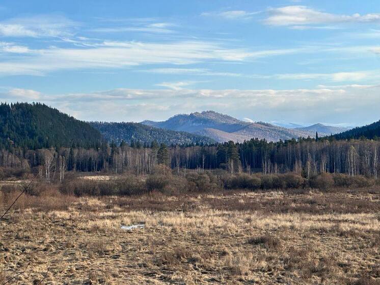 Абазинцу грозит два года колонии за убийство друга на охоте