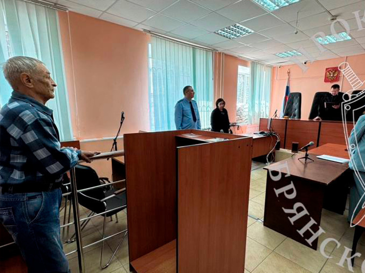 Брянца лишили свободы на 8 лет за убийство в деревне Гаврилова Гута