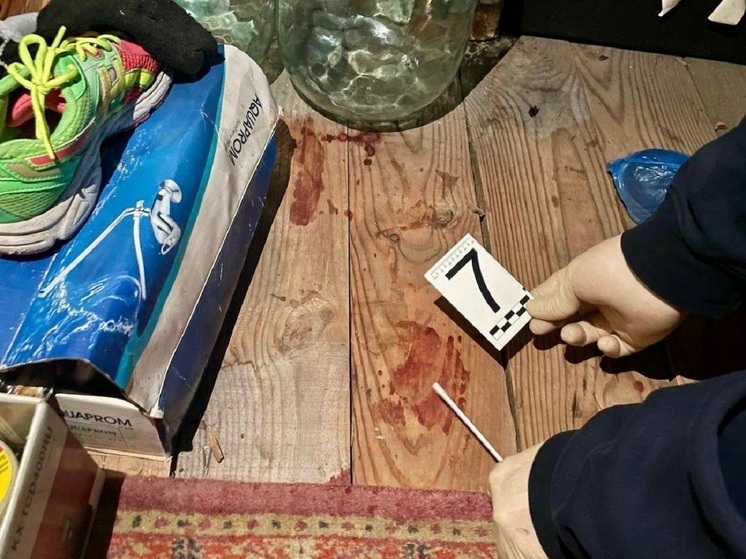 Подозреваемый в убийстве курганец прибрался в квартире и позвонил в полицию