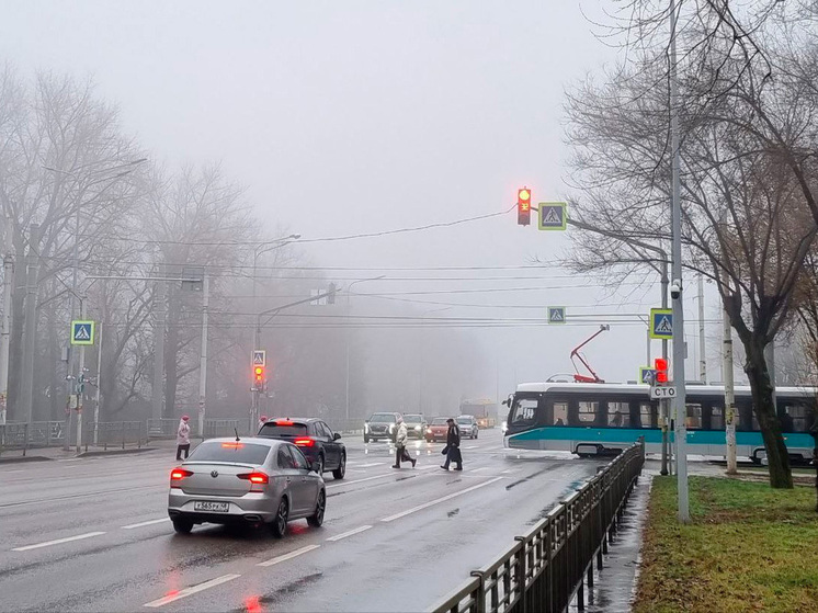 Липецкая полиция напоминает о правилах на дорогах в связи с туманной погодой