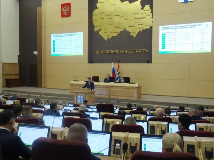 Бюджет Новосибирской области на 2026–2028 годы поддержали в первом чтении единогласно