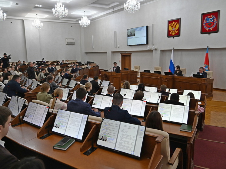 Молодежный парламент Алтайского края предложил штрафовать за травлю в интернете