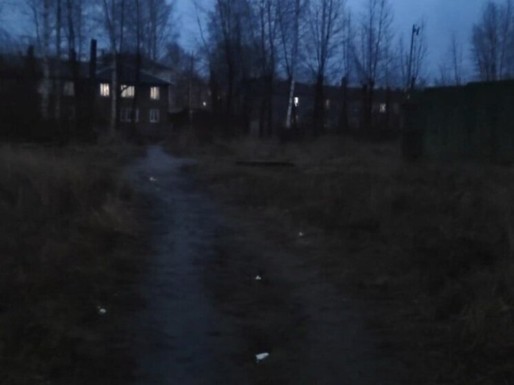 В Вельске 700 школьников добираются до школы наощупь