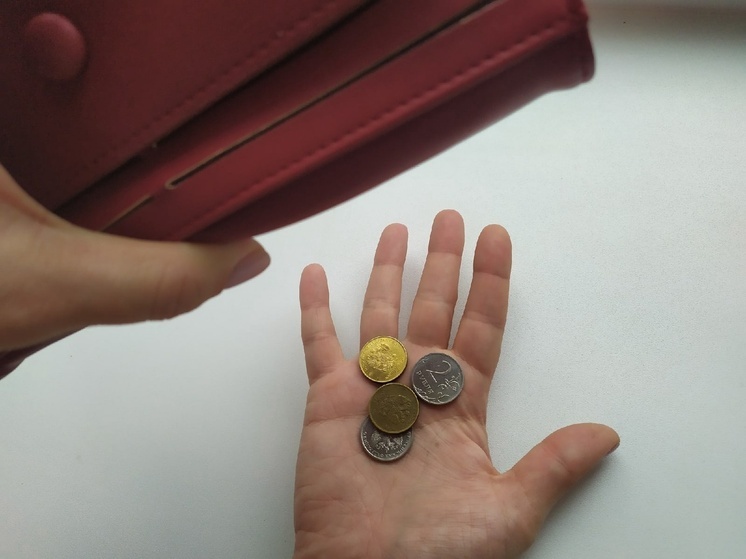 Рекордное количество монет сдали вологжане в 2025 году