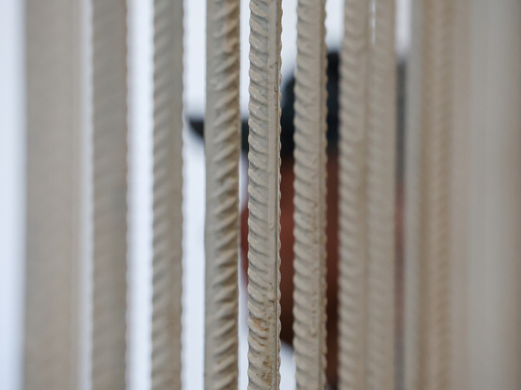 Глава СК завел дело на судью Арбитражного суда Воронежской области Мальцеву