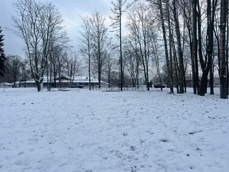 Территория бывшего спорткомплекса станет частью Приморского парка Победы