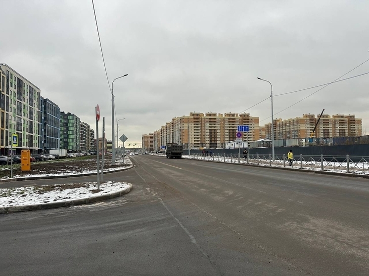 В Янино-1 уложили асфальт на участке протяженностью 1,2 километра