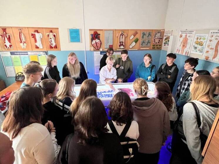 «Школу юного медика» в медколледже Вологды прошли более 120 ребят