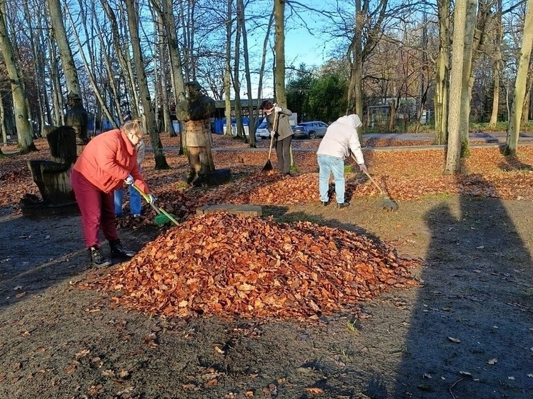 Субботник в Ладушкине собрал взрослых и детей