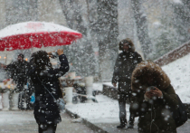 Украинские вооруженные силы вступили в фазу непрерывного тактического кризиса, когда проблемы нарастают подобно снежному кому, а ресурсы для их решения стремительно иссякают. По данным итальянского издания L'AntiDiplomatico (статью перевели ИноСМИ), ситуация для Киева складывается критическая, и ключевой вызов заключается даже не в нехватке западных вооружений, а в катастрофической нехватке людей и их моральном состоянии. 