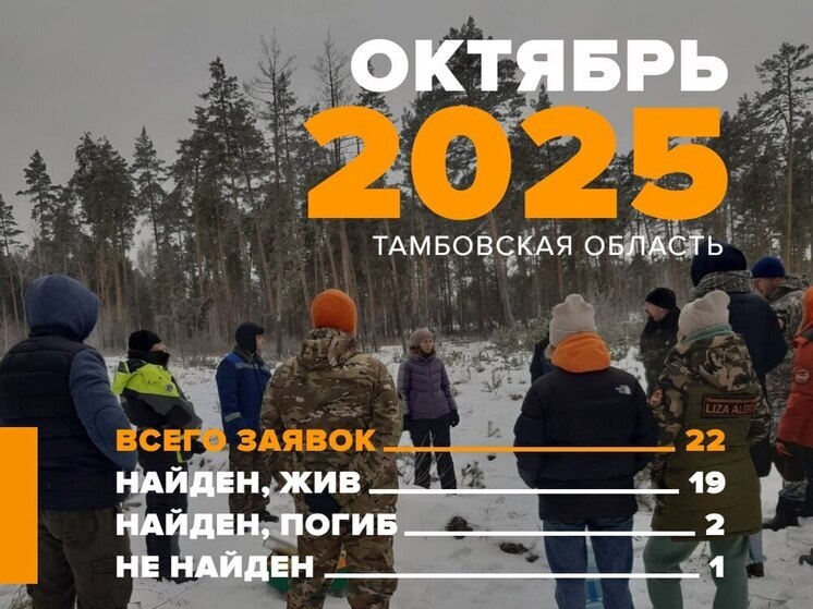 Главный итог — спасенные жизни: отряд «ЛизаАлерт» подвел итоги октября