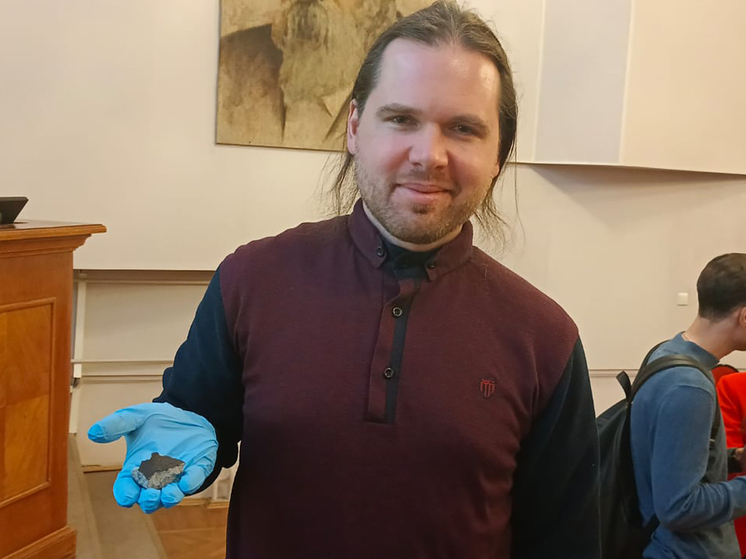 Метеорит, пробивший крышу дома в Новгородской области, представили в Москве