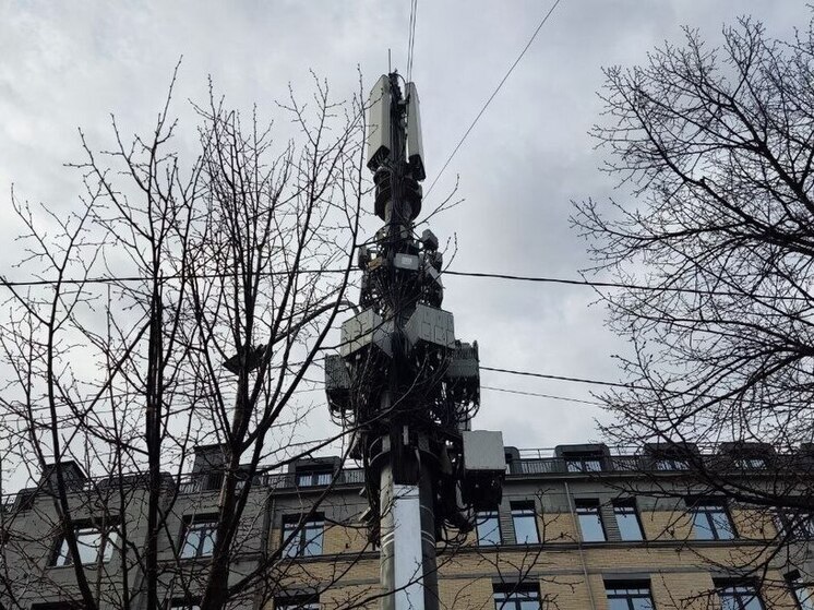 Жителям маленьких поселков в Тосненском районе стабилизировали связь