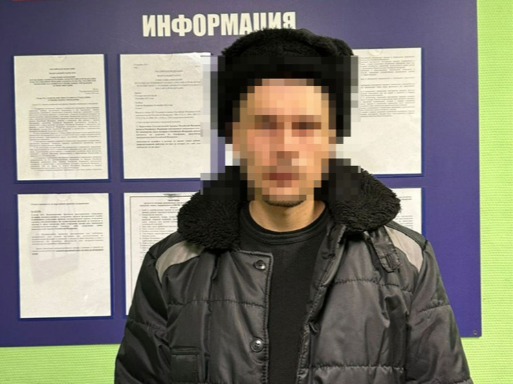 Рязанские полицейские депортировали из России девять судимых мигрантов