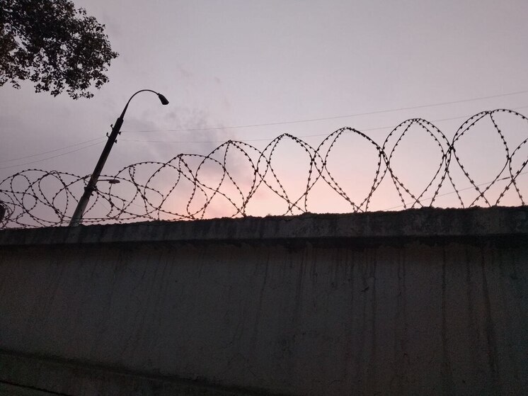 Цыганка из Вольского района получила срок за фиктивных детей