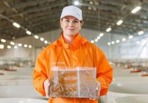 В 2025 году специалисты «Газпром нефти» выпустили в водоемы России 1,3 млн мальков ценных пород рыб — осетра, нельмы и атлантического лосося