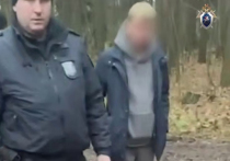 Подозреваемый в серии убийств девушек в Богородском городском округе Подмосковья Дмитрий Артамошин ранее привлекался к уголовной ответственности