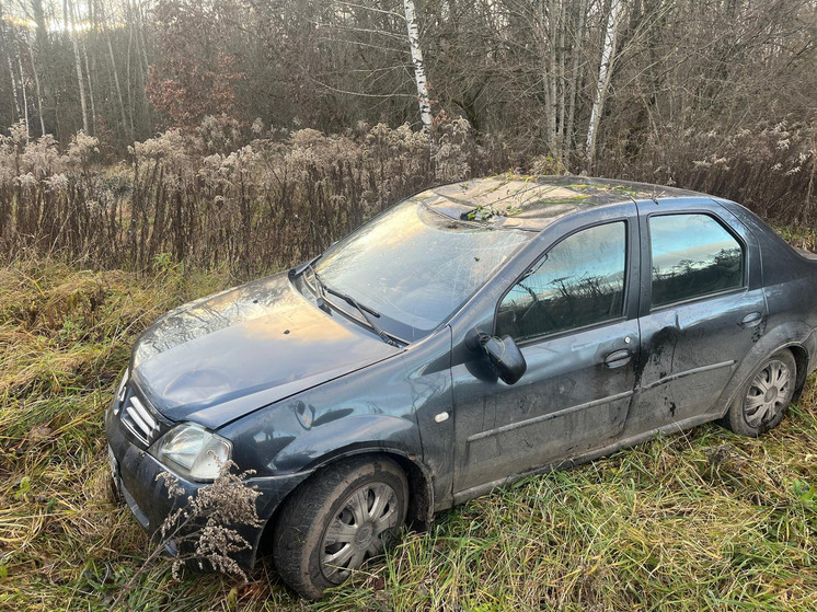 В Орловской области пенсионер перевернулся на автомобиле в кювет