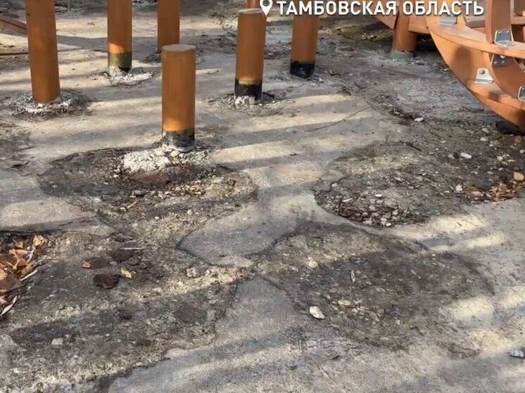 В тамбовском парке «Лукоморье» установили новые игровые комплексы, но забыли про безопасное покрытие