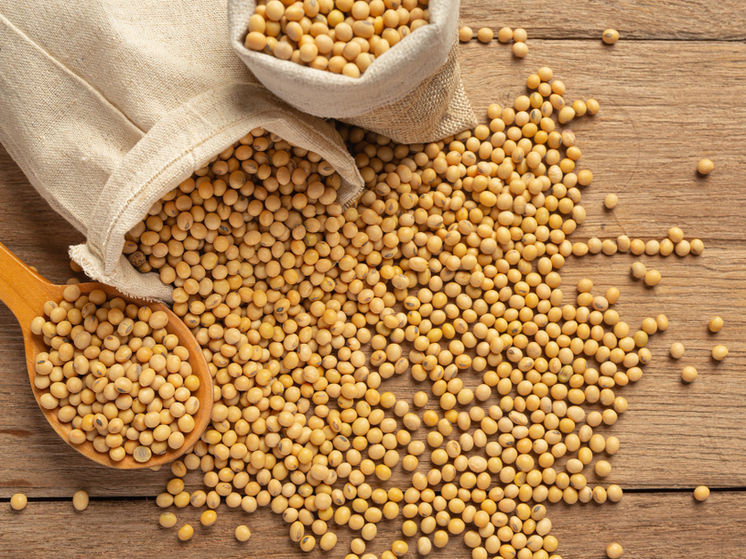 Тамбовская область установила новый рекорд по сбору сои