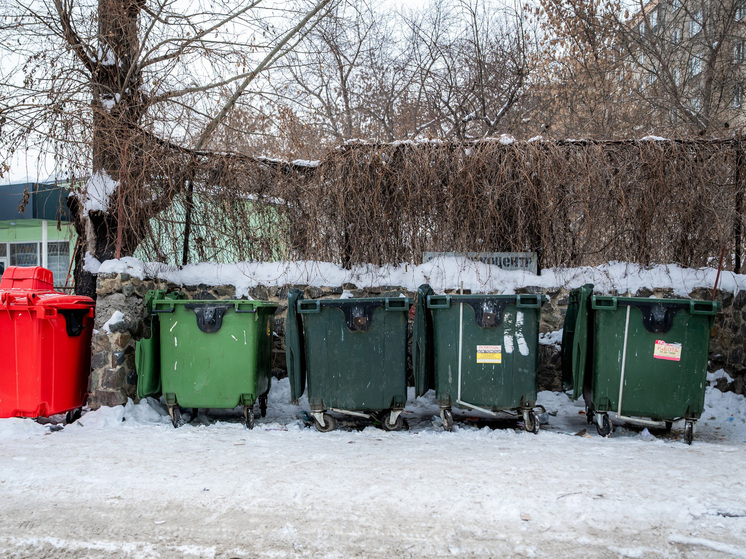 В Челябинске внедряют ИИ для наблюдения за мусорными площадками