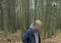 Жена задержанного по подозрению в серии убийств в Подмосковье жителя столицы Дмитрия Артамошина в настоящее время находится в клинике на излечении. Туда она попала, по предварительным данным, после того как супруг склонил ее к употреблению наркотиков. Напомним, по такой же причине оказалась в больнице третья жертва маньяка, сбежавшая из дома в подмосковном СНТ: ее госпитализировали в медицинское учреждение в Волгоградской области.