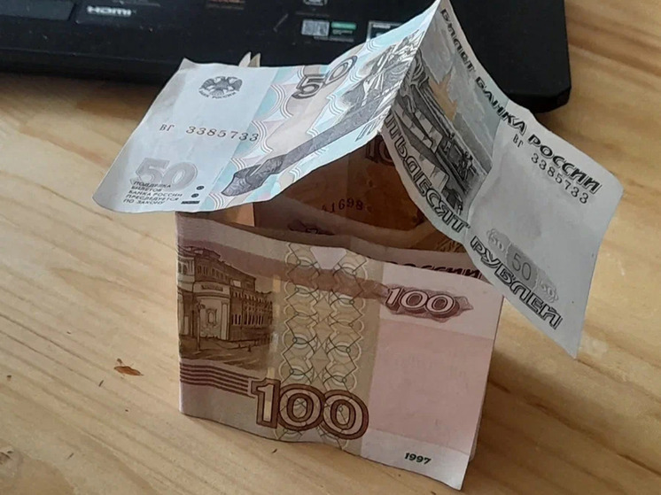 В Новгородской области приняли новый региональный закон о дополнительной поддержке многодетных семей