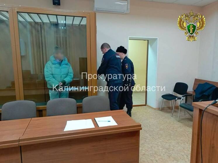 По делу об убийстве новорожденного в Гусеве арестовали 46-летнюю женщину