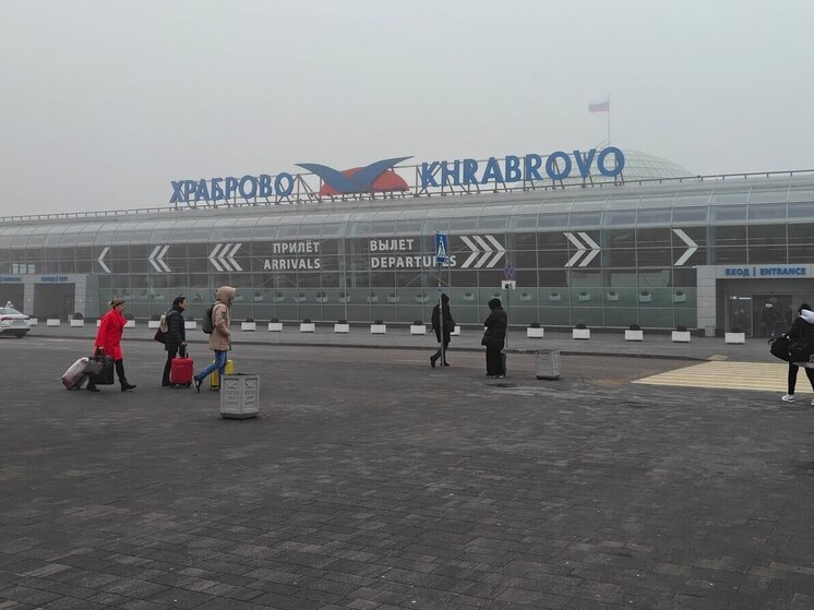 Калининградца приговорили к колонии за дебош в аэропорту «Храброво»