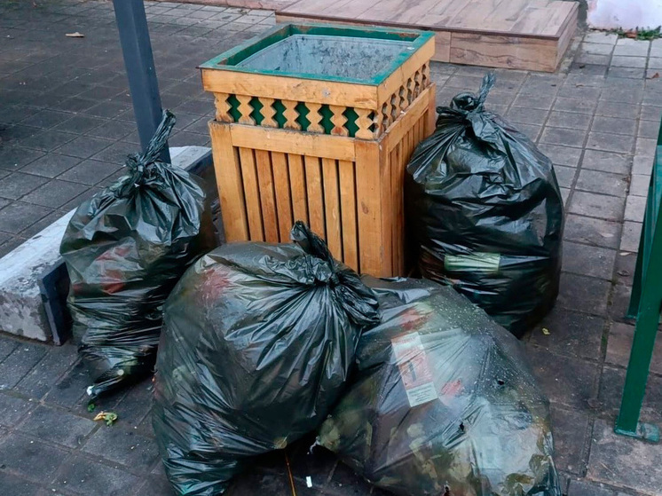 В Липецкой области мусор вновь возвышается над чистотой