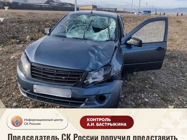 Бастрыкин затребовал доклад о результатах судебного рассмотрения дела о гибели в Туве  11-летнего мальчика в результате наезда авто