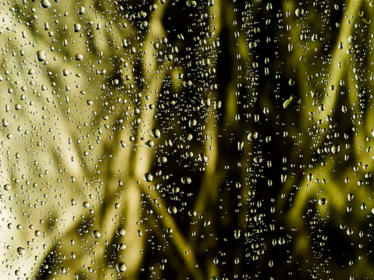 Липецкая область готовится к дождливому дню