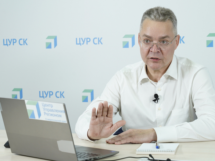 Владимиров: благоустройство пляжей в Невинномысске отложено из-за приоритета финансирования СВО