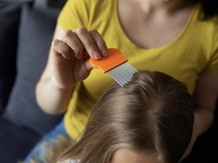 Врач назвала основные меры профилактики педикулеза у детей и взрослых