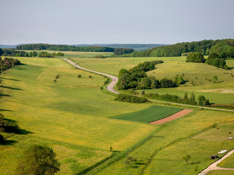 Глава сельского поселения предстанет перед судом за незаконную продажу липецких земель