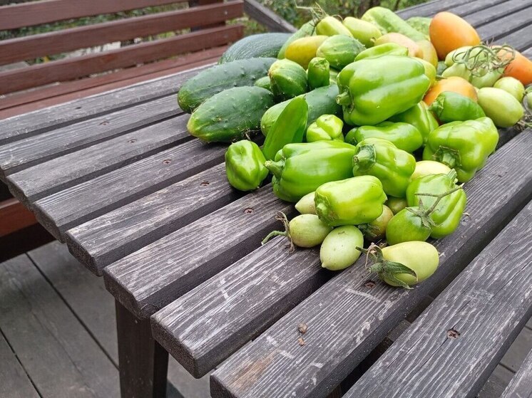 Поддержку садоводств Ленобласти увеличат вдвое в 2026 году